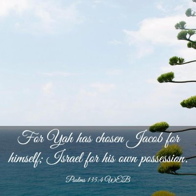 Picture 03 - Psalms 135:4 WEB - For Yah has chosen Jacob for himself; Israel for - Bible Verse Picture