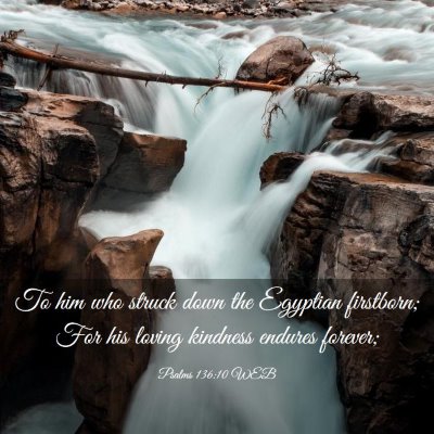 Picture 03 - Psalms 136:10 WEB - To him who struck down the Egyptian firstborn; - Bible Verse Picture