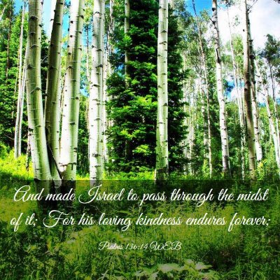 Picture 03 - Psalms 136:14 WEB - And made Israel to pass through the midst of it; - Bible Verse Picture