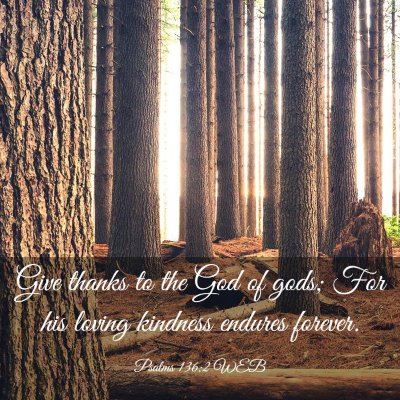 Picture 03 - Psalms 136:2 WEB - Give thanks to the God of gods; For his loving - Bible Verse Picture
