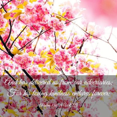 Picture 03 - Psalms 136:24 WEB - And has delivered us from our adversaries; For - Bible Verse Picture