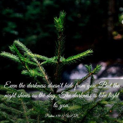 Picture 03 - Psalms 139:12 WEB - Even the darkness doesn't hide from you, But the - Bible Verse Picture