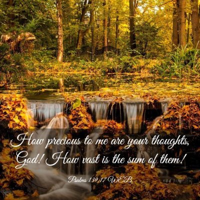 Picture 03 - Psalms 139:17 WEB - How precious to me are your thoughts, God! How - Bible Verse Picture