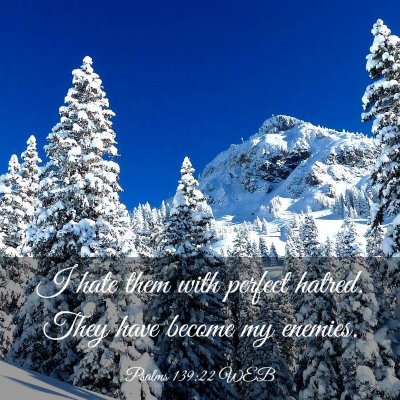 Picture 03 - Psalms 139:22 WEB - I hate them with perfect hatred. They have become - Bible Verse Picture