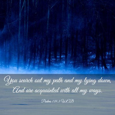 Picture 03 - Psalms 139:3 WEB - You search out my path and my lying down, And are - Bible Verse Picture