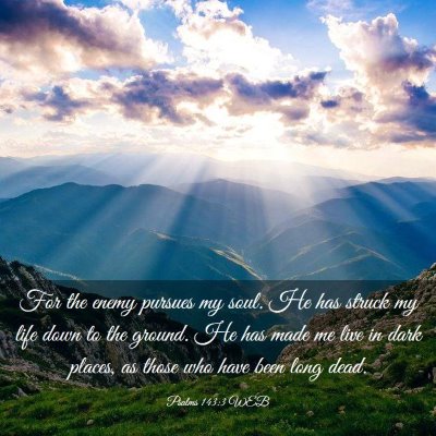Picture 03 - Psalms 143:3 WEB - For the enemy pursues my soul. He has struck my - Bible Verse Picture