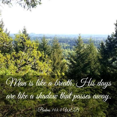 Picture 03 - Psalms 144:4 WEB - Man is like a breath. His days are like a shadow - Bible Verse Picture