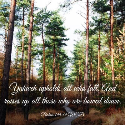 Picture 03 - Psalms 145:14 WEB - Yahweh upholds all who fall, And raises up all - Bible Verse Picture