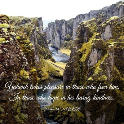 Picture 03 - Psalms 147:11 WEB - Yahweh takes pleasure in those who fear him, In - Bible Verse Picture