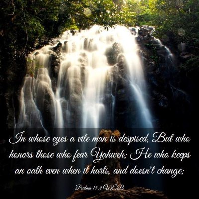 Picture 03 - Psalms 15:4 WEB - In whose eyes a vile man is despised, But who - Bible Verse Picture