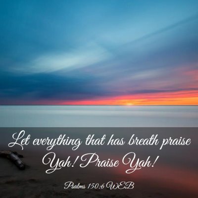 Picture 03 - Psalms 150:6 WEB - Let everything that has breath praise Yah! Praise - Bible Verse Picture
