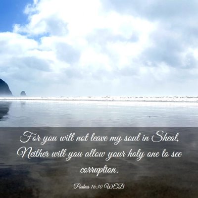 Picture 03 - Psalms 16:10 WEB - For you will not leave my soul in Sheol, Neither - Bible Verse Picture