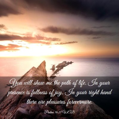 Picture 03 - Psalms 16:11 WEB - You will show me the path of life. In your - Bible Verse Picture