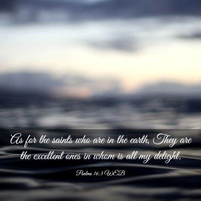 Picture 03 - Psalms 16:3 WEB - As for the saints who are in the earth, They are - Bible Verse Picture