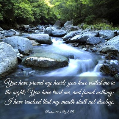 Picture 03 - Psalms 17:3 WEB - You have proved my heart; you have visited me in - Bible Verse Picture