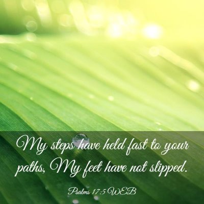 Picture 03 - Psalms 17:5 WEB - My steps have held fast to your paths, My feet - Bible Verse Picture