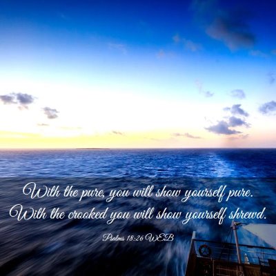 Picture 03 - Psalms 18:26 WEB - With the pure, you will show yourself pure. With - Bible Verse Picture