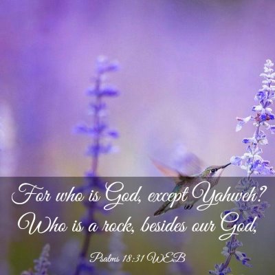 Picture 03 - Psalms 18:31 WEB - For who is God, except Yahweh? Who is a rock, - Bible Verse Picture