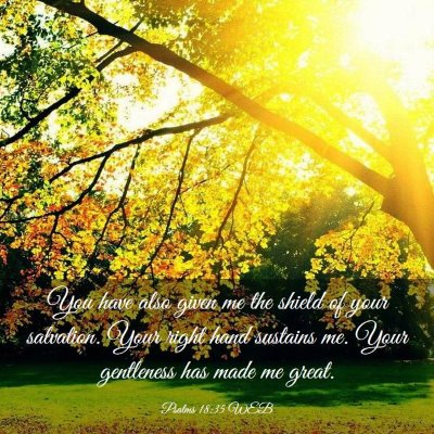 Picture 03 - Psalms 18:35 WEB - You have also given me the shield of your - Bible Verse Picture