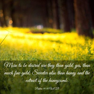 Picture 03 - Psalms 19:10 WEB - More to be desired are they than gold, yes, than - Bible Verse Picture