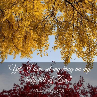 Picture 03 - Psalms 2:6 WEB - 