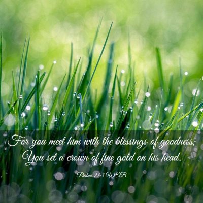 Picture 03 - Psalms 21:3 WEB - For you meet him with the blessings of goodness; - Bible Verse Picture