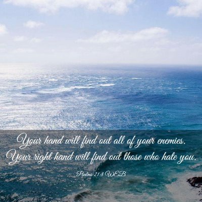 Picture 03 - Psalms 21:8 WEB - Your hand will find out all of your enemies. Your - Bible Verse Picture