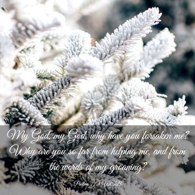 Picture 03 - Psalms 22:1 WEB - My God, my God, why have you forsaken me? Why are - Bible Verse Picture