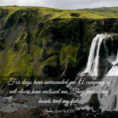 Picture 03 - Psalms 22:16 WEB - For dogs have surrounded me. A company of - Bible Verse Picture