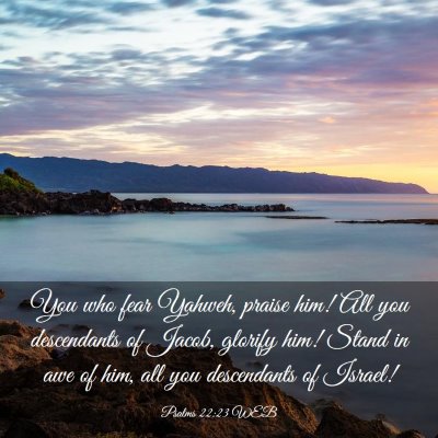 Picture 03 - Psalms 22:23 WEB - You who fear Yahweh, praise him! All you - Bible Verse Picture