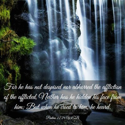 Picture 03 - Psalms 22:24 WEB - For he has not despised nor abhorred the - Bible Verse Picture