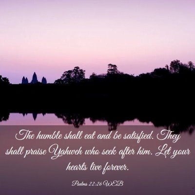 Picture 03 - Psalms 22:26 WEB - The humble shall eat and be satisfied. They shall - Bible Verse Picture