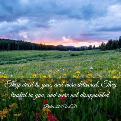 Picture 03 - Psalms 22:5 WEB - They cried to you, and were delivered. They - Bible Verse Picture