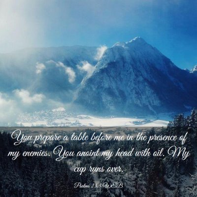 Picture 03 - Psalms 23:5 WEB - You prepare a table before me in the presence of - Bible Verse Picture