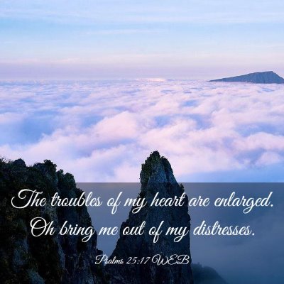 Picture 03 - Psalms 25:17 WEB - The troubles of my heart are enlarged. Oh bring - Bible Verse Picture