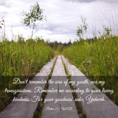 Picture 03 - Psalms 25:7 WEB - Don't remember the sins of my youth, nor my - Bible Verse Picture
