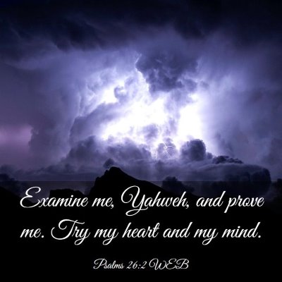 Picture 03 - Psalms 26:2 WEB - Examine me, Yahweh, and prove me. Try my heart - Bible Verse Picture