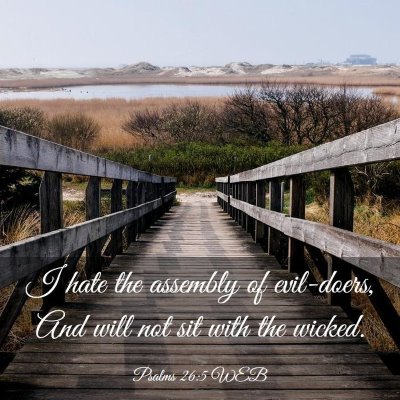 Picture 03 - Psalms 26:5 WEB - I hate the assembly of evil-doers, And will not - Bible Verse Picture