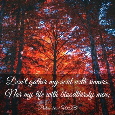Picture 03 - Psalms 26:9 WEB - Don't gather my soul with sinners, Nor my life - Bible Verse Picture