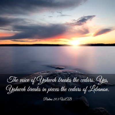 Picture 03 - Psalms 29:5 WEB - The voice of Yahweh breaks the cedars. Yes, - Bible Verse Picture