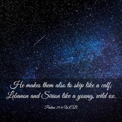 Picture 03 - Psalms 29:6 WEB - He makes them also to skip like a calf; Lebanon - Bible Verse Picture