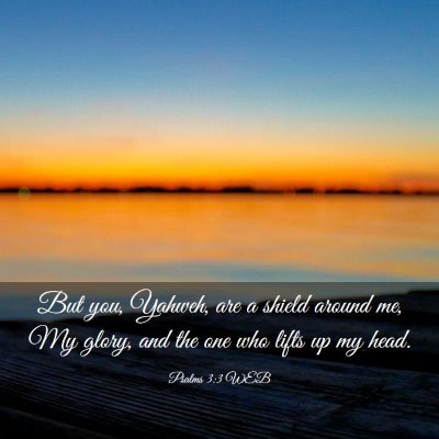 Picture 03 - Psalms 3:3 WEB - But you, Yahweh, are a shield around me, My - Bible Verse Picture