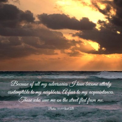 Picture 03 - Psalms 31:11 WEB - Because of all my adversaries I have become - Bible Verse Picture