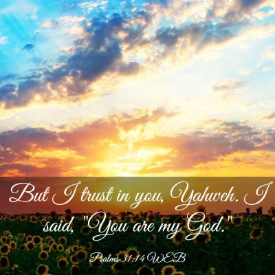 Picture 03 - Psalms 31:14 WEB - But I trust in you, Yahweh. I said, 