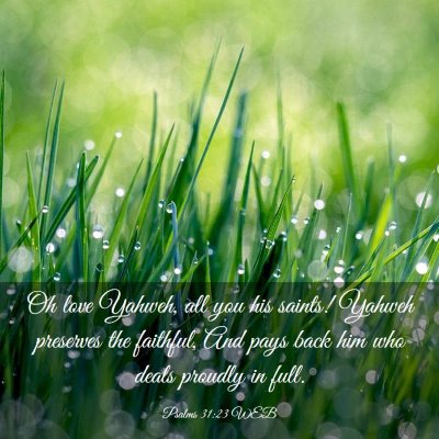 Picture 03 - Psalms 31:23 WEB - Oh love Yahweh, all you his saints! Yahweh - Bible Verse Picture