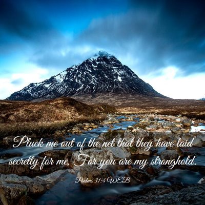 Picture 03 - Psalms 31:4 WEB - Pluck me out of the net that they have laid - Bible Verse Picture