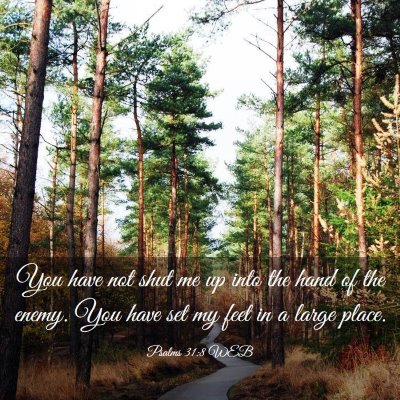 Picture 03 - Psalms 31:8 WEB - You have not shut me up into the hand of the - Bible Verse Picture