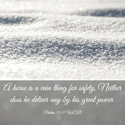 Picture 03 - Psalms 33:17 WEB - A horse is a vain thing for safety, Neither does - Bible Verse Picture