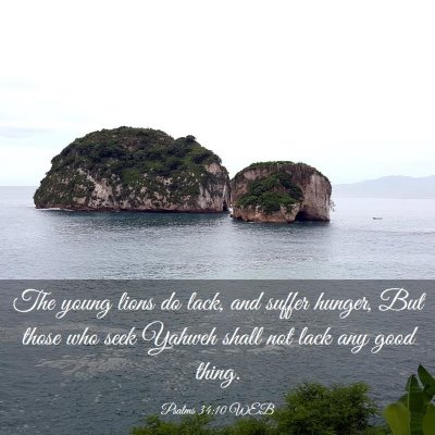 Picture 03 - Psalms 34:10 WEB - The young lions do lack, and suffer hunger, But - Bible Verse Picture