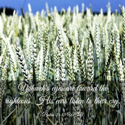 Picture 03 - Psalms 34:15 WEB - Yahweh's eyes are toward the righteous. His ears - Bible Verse Picture